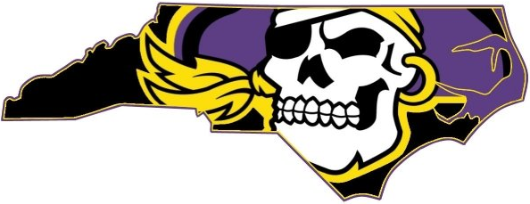 East Carolina Pirates 2004-2013 Alternate Logo diy fabric transfer